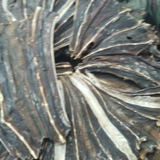 1kg khô cá đuối đen (đuối ó) siêu thơm ngon