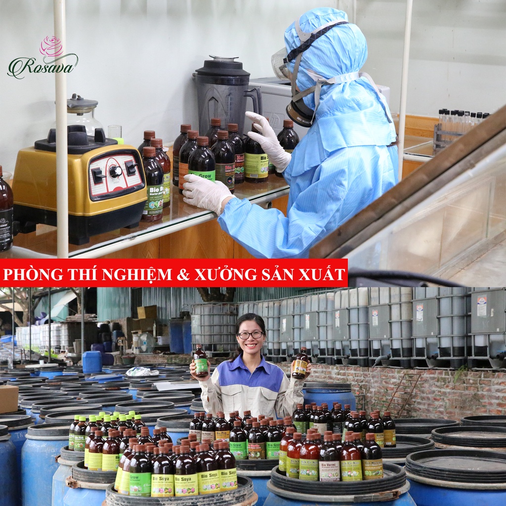 Phân bón lá đạm cá hữu cơ vi sinh Rosava 4lit đậm đặc cho hoa hồng, lan, sen đá, hoa giấy và cây cảnh