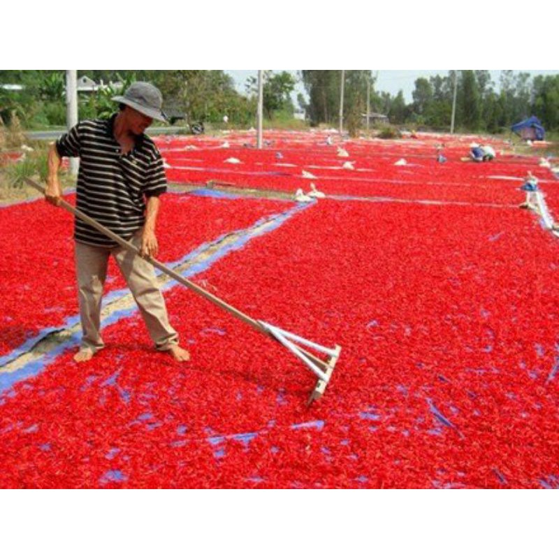 200g ớt khô trái Thanh Bình xay theo yêu cầu
