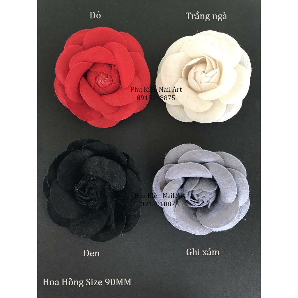 Hoa hồng nhung chụp hình