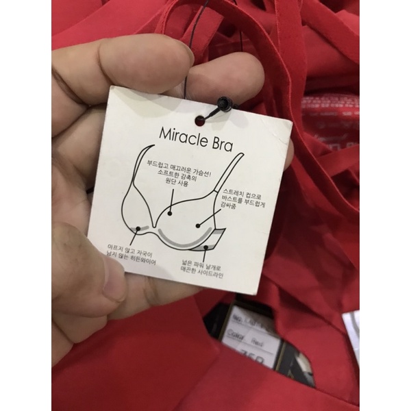 Bra/ Áo ngực La Lingerie , hàng xuất xịn