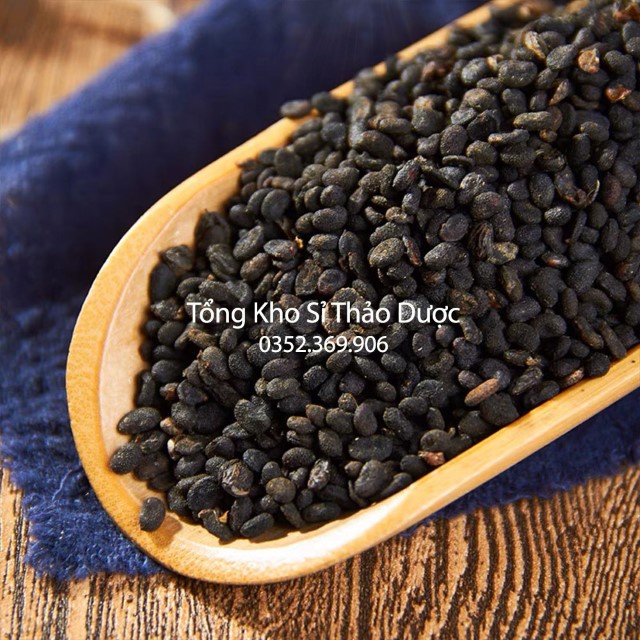 Phá Cổ Chỉ (Bổ Cốt Chỉ) 500g