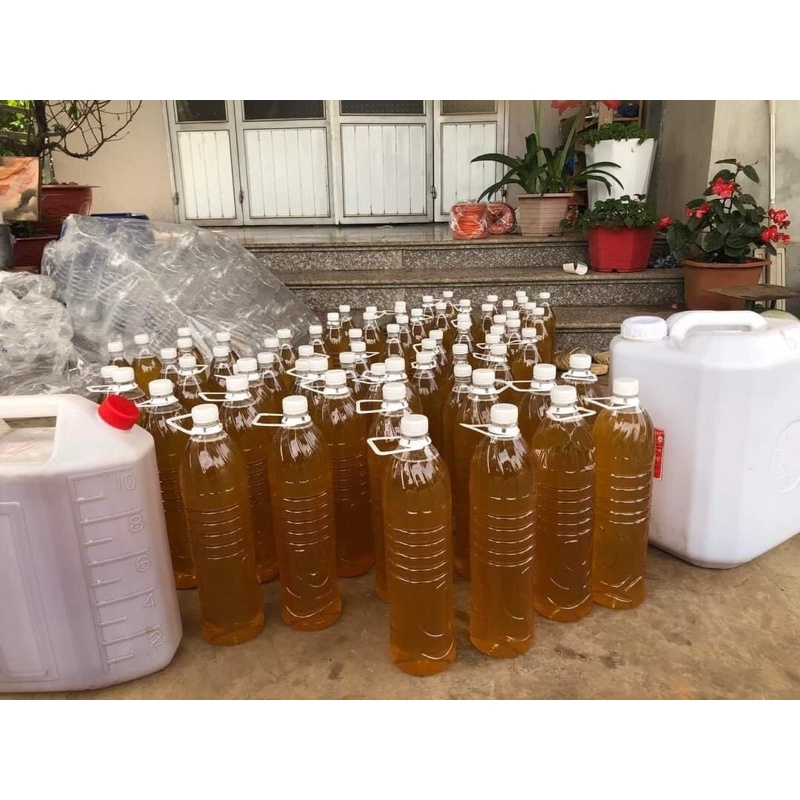 Mật ong vải bắc giang