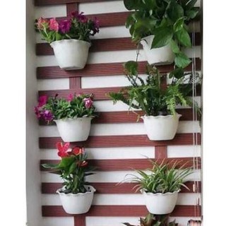 Combo 10 chậu nhựa ốp tim loại dày xịn trồng hoa cây cảnh siêu xinh_Chậu ốp tường vành bèo nhiều màu