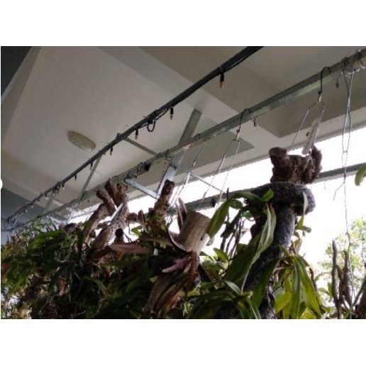 Béc phun tưới lan bằng đồng, tưới cây cảnh dạng sương