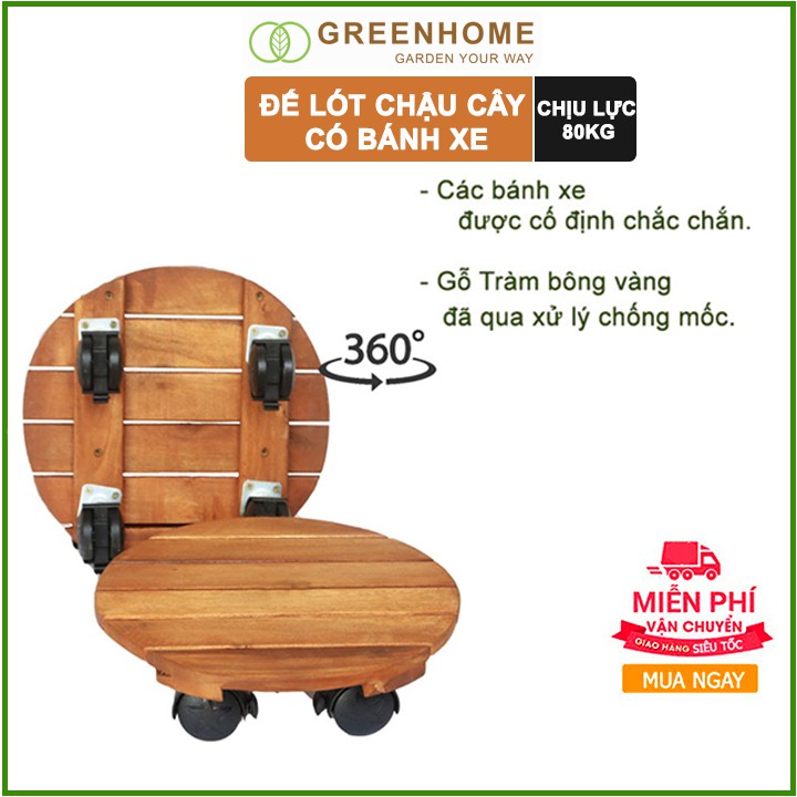 Bộ 2 Đế lót chậu cây có bánh xe, hình vuông, màu nâu, bằng gỗ, chịu lực 80kg, R30xC8cm |Greenhome