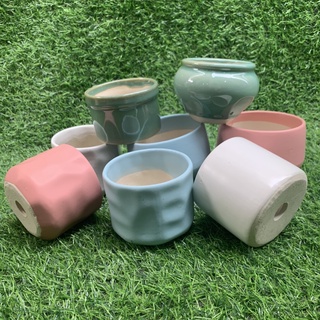 Chậu gốm sứ trồng sen đá nhiều kiểu dáng màu sắc đẹp - Chậu mini trồng cây để bàn