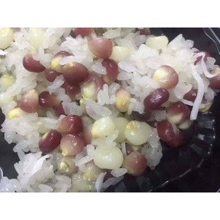 NGÔ BUNG TÚI 1KG tuổi thơ 1 thời để nhớ