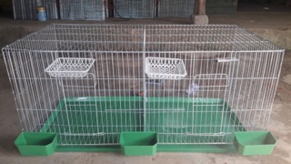 Máng ăn máng uống cho chim, gà