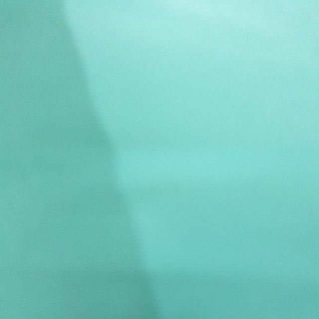 Vải lá cỏ 460
