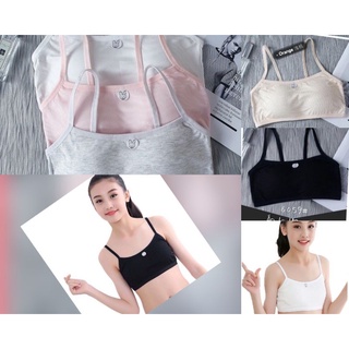 Áo bra học sinh, ấo lá tem thỏ cotton tăm mềm đẹp