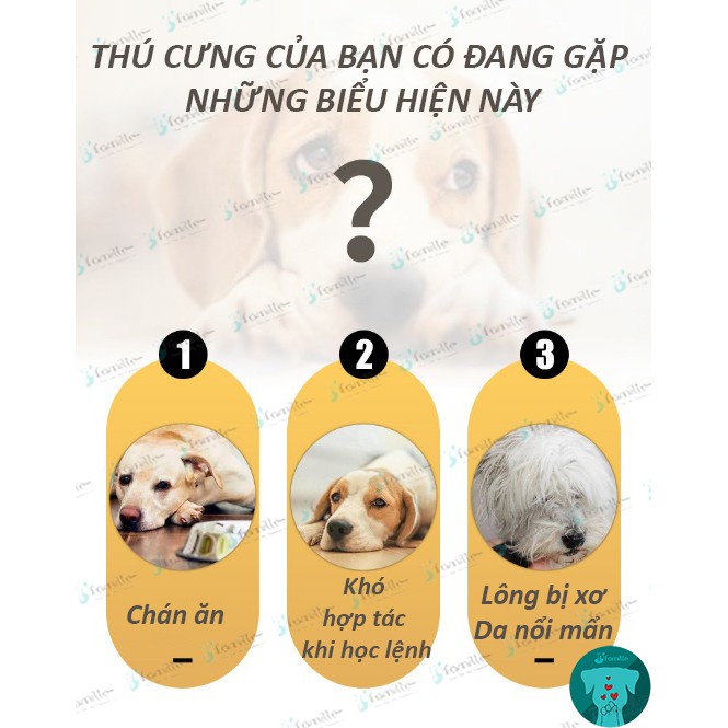 [GIÚP MƯỢT LÔNG]Petsnack JFamille, Bim Bim Lòng Đỏ Trứng, Bổ Sung Lecithin, Giảm Lông Xơ Rối, Cải Thiện Vấn Đề Về Da.