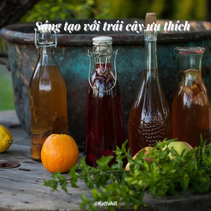Trọn bộ & Hướng dẫn làm trà Kombucha tại nhà  Kaffa Hill