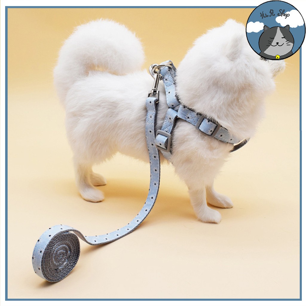 Dây Dắt Hoạt Tiết Cho Chó Mèo Chất Liệu Vải Cao Cấp Dây Dẫn Cho Thú Cưng Dưới 8kg