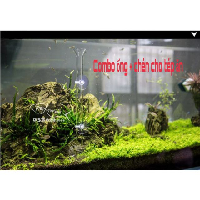 COMBO ống và chén thủy tinh cho tép ăn