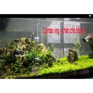 COMBO ống và chén thủy tinh cho tép ăn