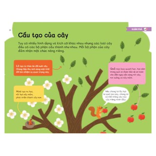 Trái Đất Xinh Đẹp Có Gì - Một Trái Đất Đầy Cây
