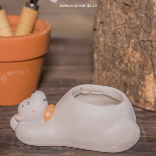 Chậu gấu bắc cực (nhựa cứng) - Vườn sen đá