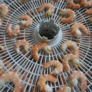 Sa tế tôm và sò điệp cao cấp 🔥