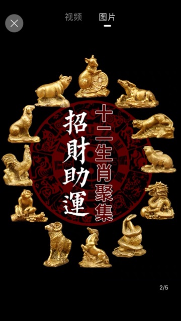 Đồng 12 con giáp