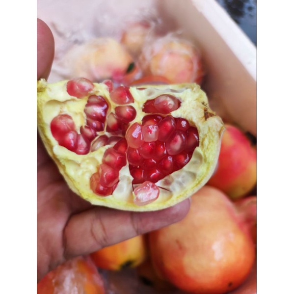 HCM Free Ship - 1kg Lựu hồng Sapa Tươi Ngon Ngọt Lịm