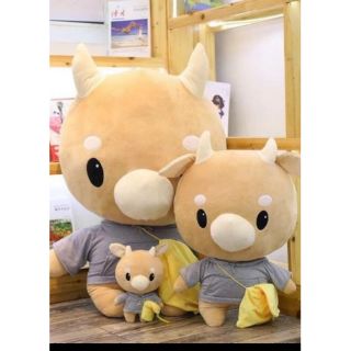 Bò Chăm Chỉ Khổ 1m4 siêu bự