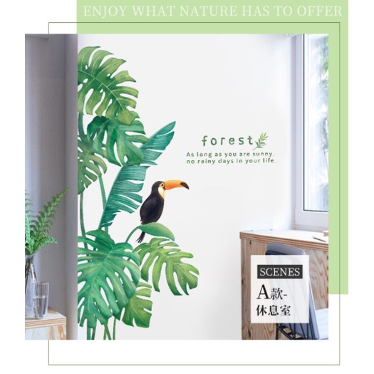 Decal trang trí tường - Các mẫu hoa và cây xinh