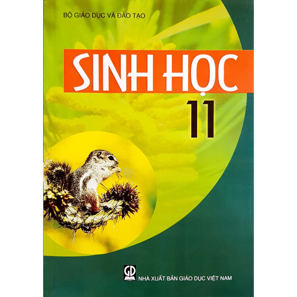 Sách - Sinh học 11 - 9786040237767