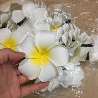 Ảnh thật hoa sứ cái tóc