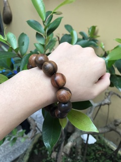 Vòng gỗ bách xanh chìm
