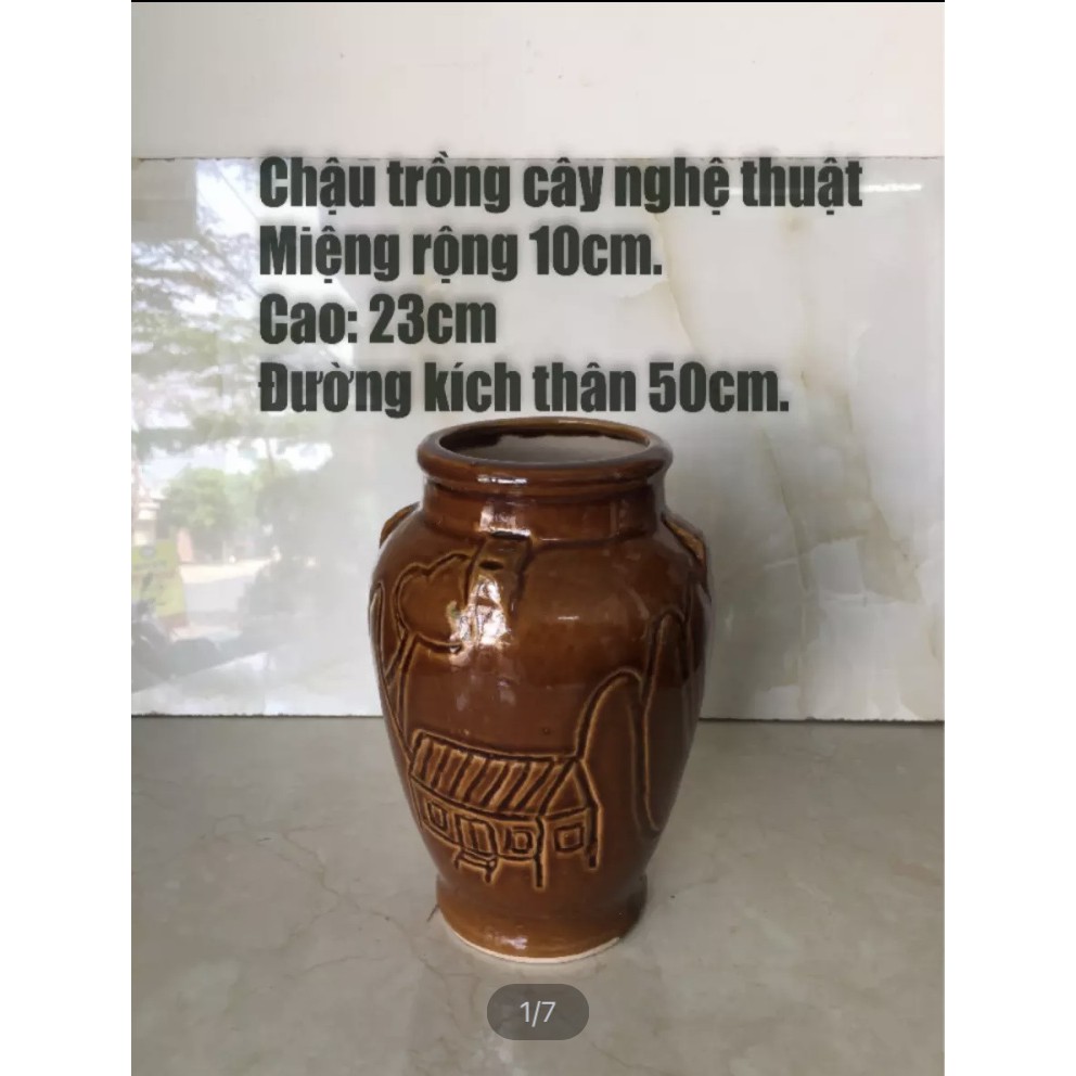 Chậu trồng cây nghệ thuật