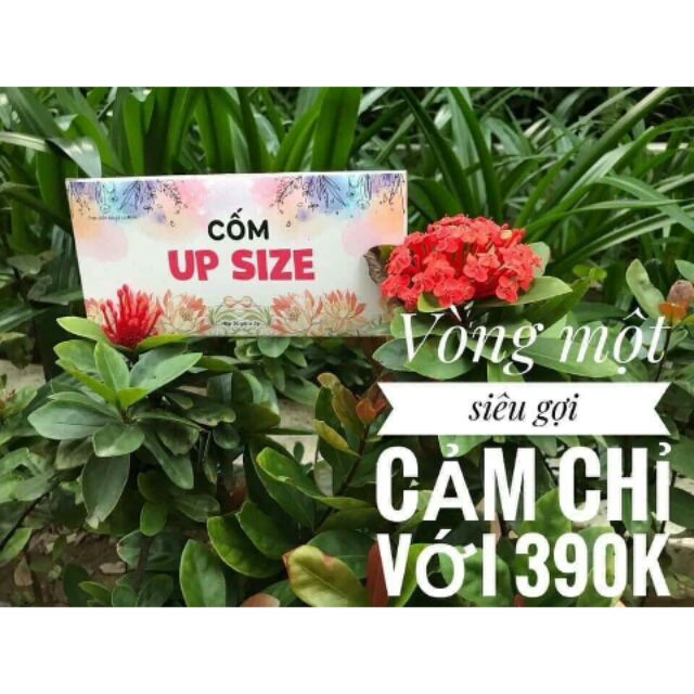 ( Không lợi nhuận) Cốm upsize chính hãng