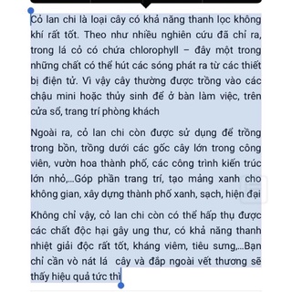 lan chi (cây có rễ)