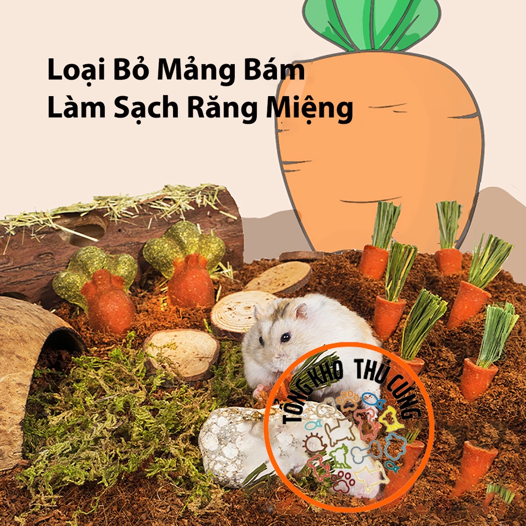 Bánh cà rốt mài răng cho chuột hamster, Nhím, Thỏ, Bọ cung cấp dinh dưỡng vitamin khoáng chất cho thú cưng