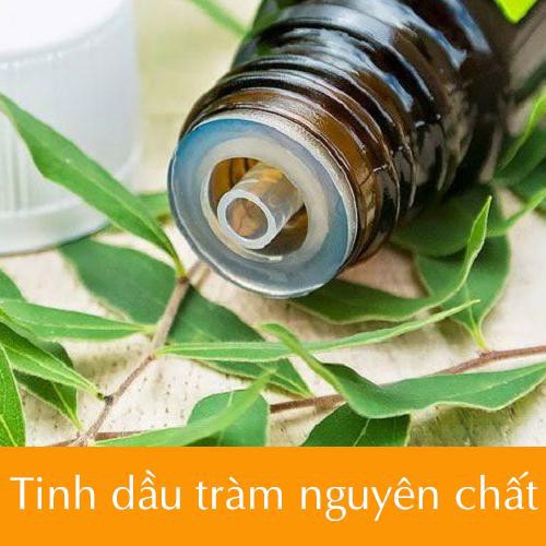 Tinh dầu tràm gió nguyên chất ( Cajeput Essense Oil ) GUTY