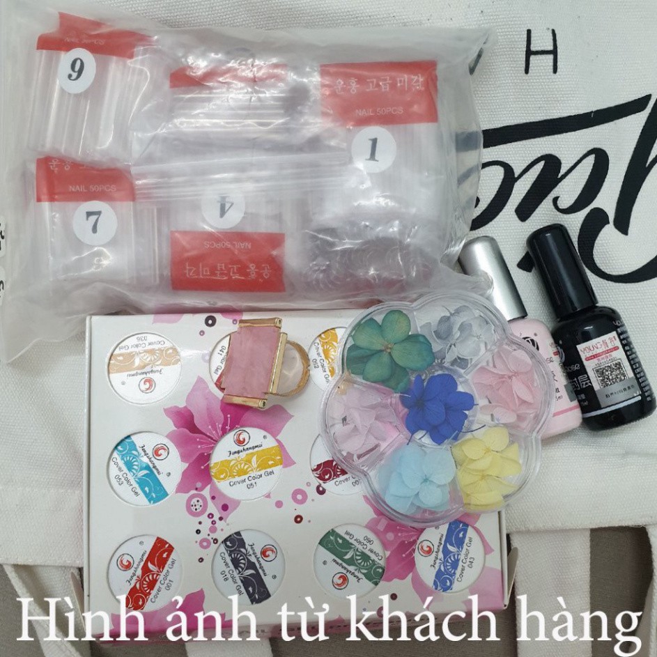 Hoa khô trang trí móng tay - Set 7 màu hoa khô nail, cánh hoa to và mỏng đắp ẩn theo phong cách Hàn Nhật M572