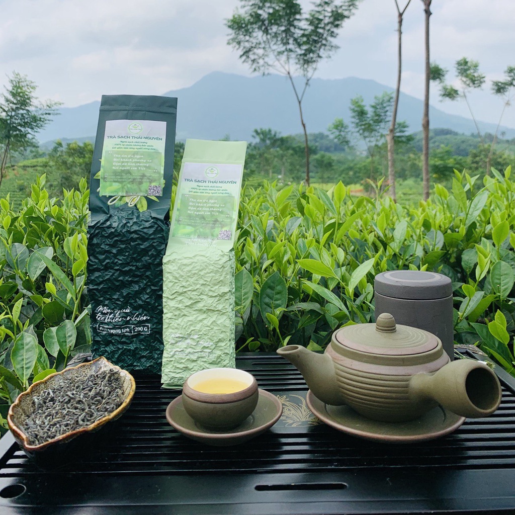 Trà Thái Nguyên| Đặc Sản Chè Thái Nguyên| Trà Xanh