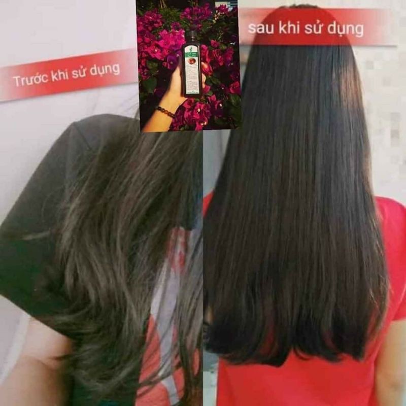 DẦU GỘI THẢO DƯỢC THIÊN NHIÊN CHO TÓC YẾU, RỤNG