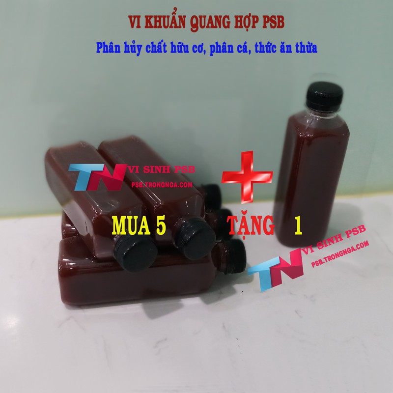 COMBO mua 5 chai tặng kèm 1 chai Vi sinh PSB - Vi khuẩn quang hợp chai 350ml