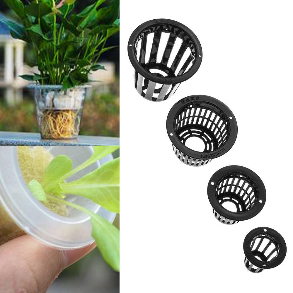 Set 10 Chậu Trồng Cây Thủy Canh Không Cần Đất