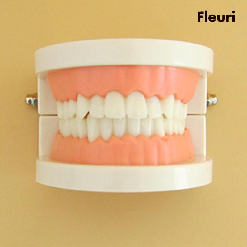 [Fleurir] Mô Hình Răng Đồ Chơi Theo Phương Pháp Montessori Tự Làm Cho Bé Mẫu Giáo