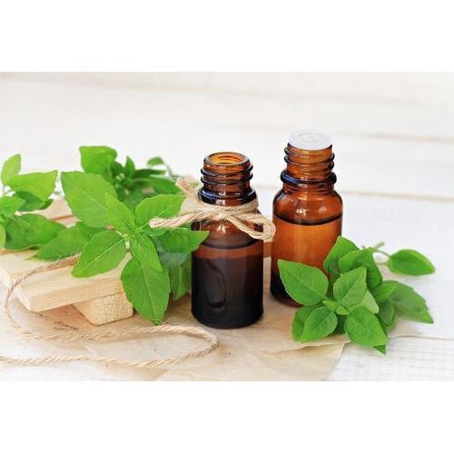Tinh Dầu Húng Quế Thiên Nhiên giảm căng thẳng, khử mùi, đuổi côn trùng Basil Essential Oil AloAroma