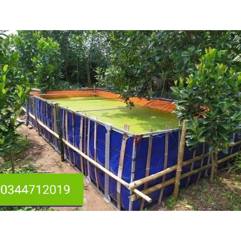 BỂ BẠT NUÔI ỐC, ẾCH,CÁ, LƯƠN MỚI NỞ- BỂ BẠT TẮM ĐỦ Sai