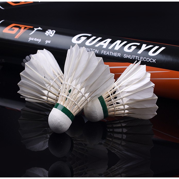 Hộp cầu lông cao cấp Guangyu chuẩn thi đấu, luyện tập ngoài trời hộp 12 quả - N08
