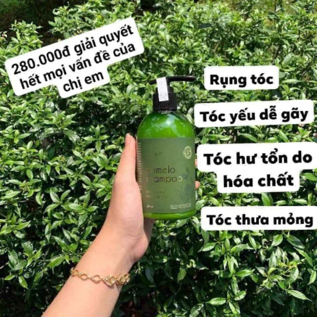 ‼️‼️ TÓC RỤNG LÀ VĐỀ HÀNG NGÀN C/E GẶP PHẢI 
Chải cũng rụng, vuốt cũng rụng, không làm gì cũng rụng thì biết phải làm s