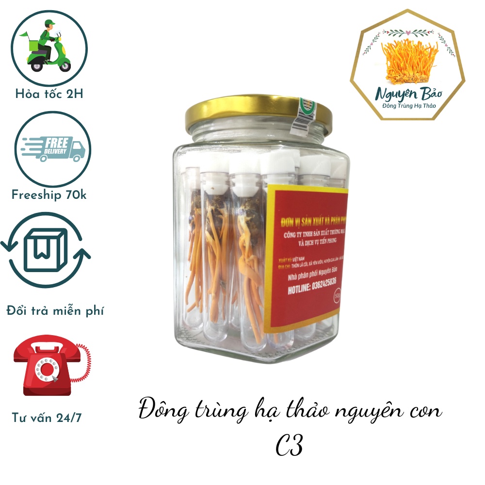 combo 30 Đông Trùng Hạ Thảo c3 Nguyên Con