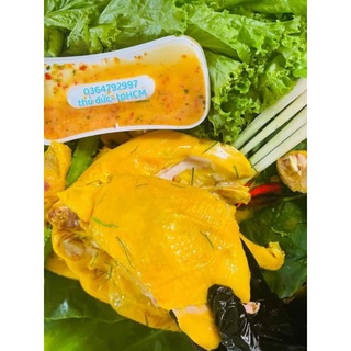 GÀ Ủ MUỐI _ NGUYÊN CON _ NỮA CON