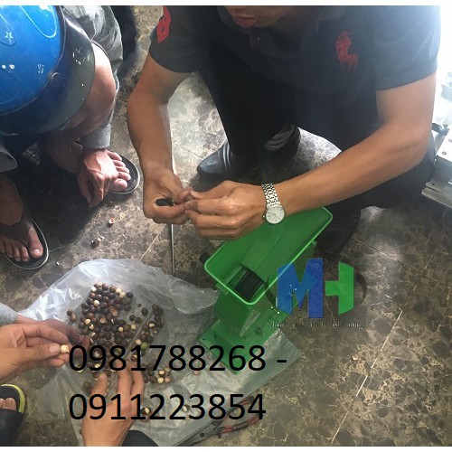 Máy bóc vỏ hạt sen tươi - Máy tách vỏ sen thủ công