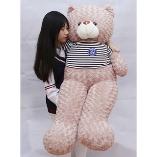 GẤU BÔNG GẤU TEDDY KHỔ VẢI 1M6 CAO 1M4 ĐÁNG YÊU MÀU VANI
