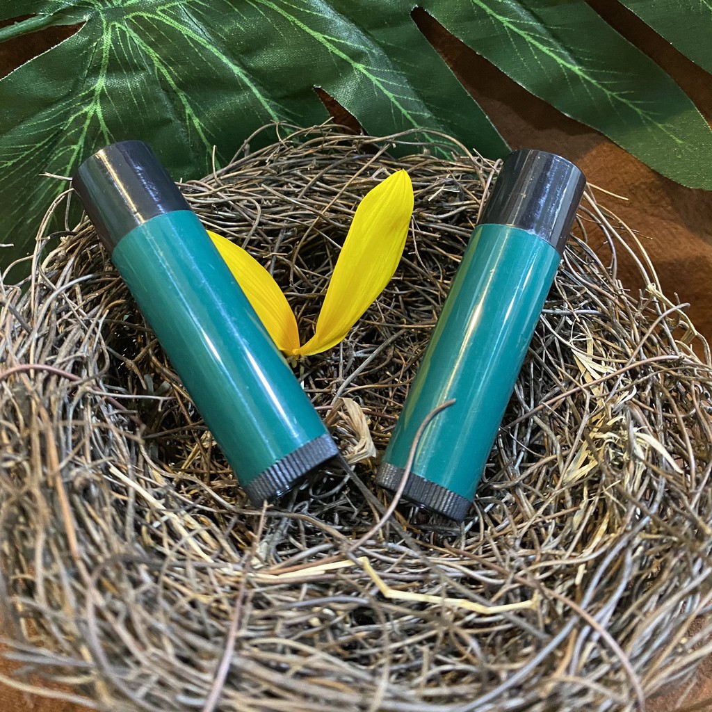 VỎ SON DƯỠNG MINI COLOR